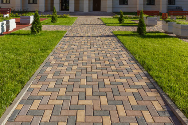 Best Permeable Paver Driveway  in Whiteville, TN